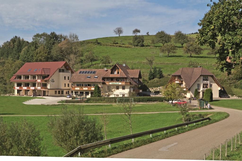 Landgasthof Adler Pelzmuehle Biederbach Ngoại thất bức ảnh