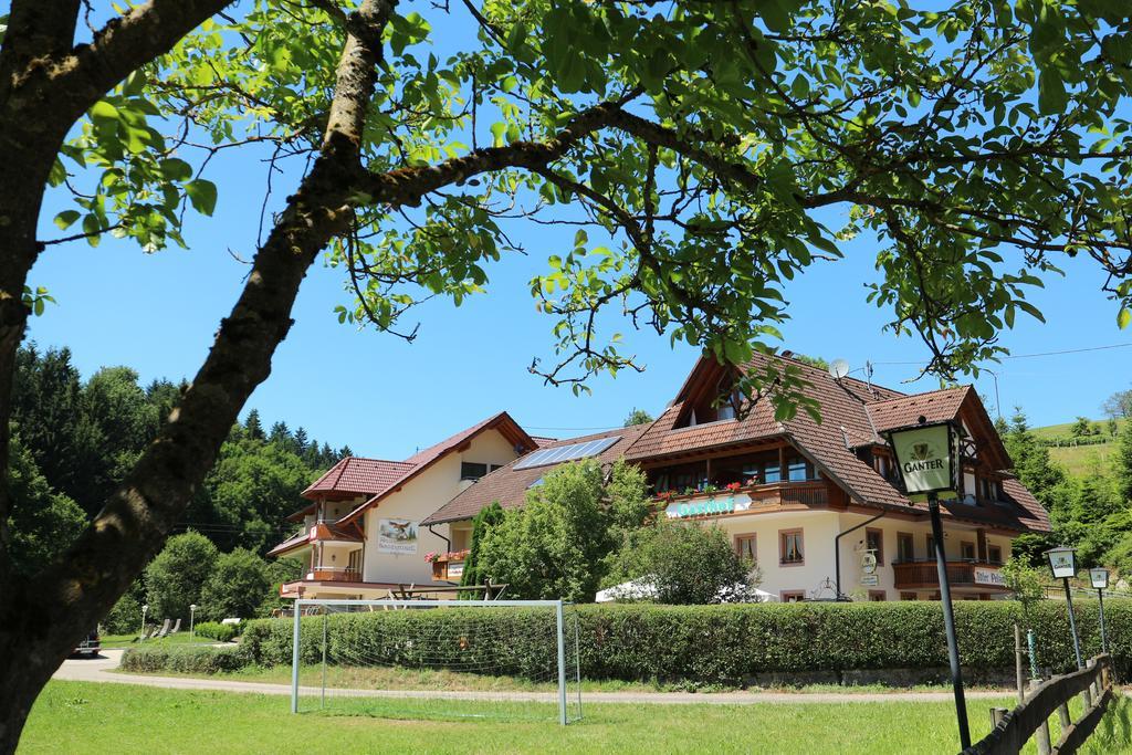 Landgasthof Adler Pelzmuehle Biederbach Ngoại thất bức ảnh